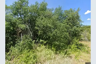 4608 Evening View Drive, Granbury, TX 76048 - Photo 2