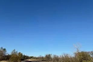239 Bh Cooke Ln, Van Alstyne, TX 75495 - Photo 1
