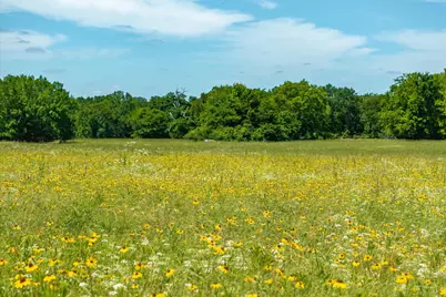 Lot 2 State Hwy 19, Emory, TX 75440 - Photo 6