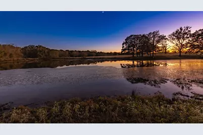 1004 County Road 4574, Sulphur Springs, TX 75482 - Photo 6