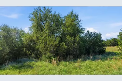 100 Gilmore Court, Lipan, TX 76462 - Photo 14