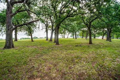 Tbd Massey Road, Pilot Point, TX 76258 - Photo 6