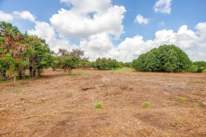 890 Clover Drive, Poolville, TX 76487 - Photo 10