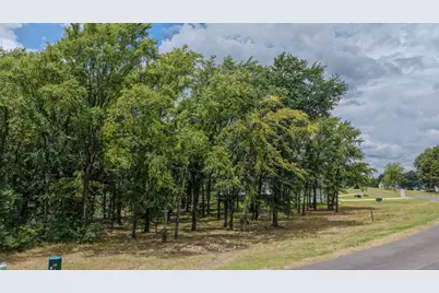 309 Cedar Creek Landing Lane, Mabank, TX 75143 - Photo 16