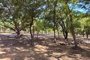 1831 Chapman Ct, Aledo, TX 76008 - Photo 36