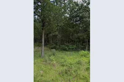 Tbd Rs County Road 1180, Emory, TX 75440 - Photo 2