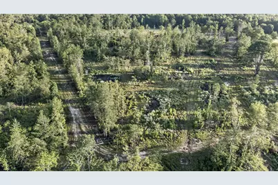 Tbd 21 Acres Cr 3116, Winona, TX 75792 - Photo 4