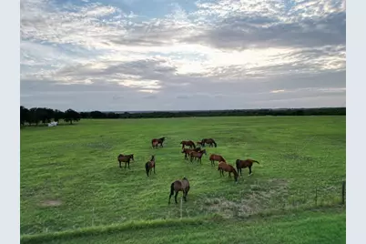 951 Fm 1476, Dublin, TX 76446 - Photo 30