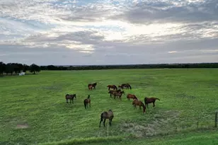 951 FM 1476, Dublin, TX 76446 - Photo 30
