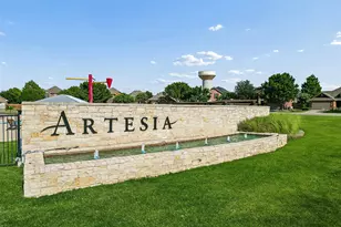 16509 Dry Creek Blvd, Prosper, TX 75078 - Photo 28