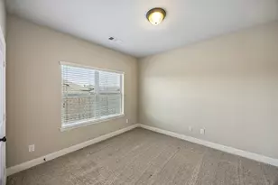 16509 Dry Creek Blvd, Prosper, TX 75078 - Photo 24