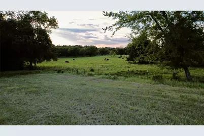 336 County Road 1118, Brashear, TX 75420 - Photo 12