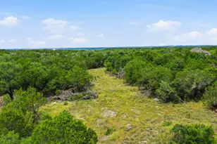 Tbd Jimmy Houston Way, Bluff Dale, TX 76433 - Photo 1