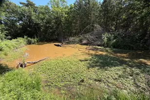 3700 Co Rd 4040, Whitewright, TX 75491 - Photo 10
