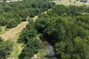 3700 Co Rd 4040, Whitewright, TX 75491 - Photo 8