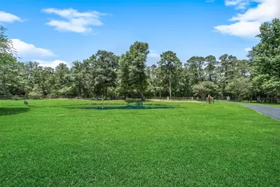 12300 Cedar, Willis, TX 77378 - Photo 6