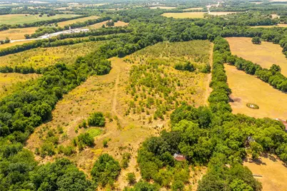 Tbd 23 +/- Tract 2 County Road 4526, Randolph, TX 75475 - Photo 6