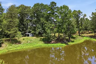 159 Co Rd 3195, Winnsboro, TX 75494 - Photo 38