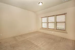 11713 Summer Springs Dr, Frisco, TX 75036 - Photo 20