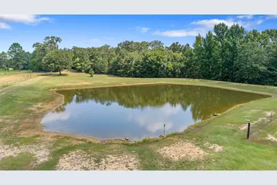 253 County Road 2412, Winnsboro, TX 75471 - Photo 36