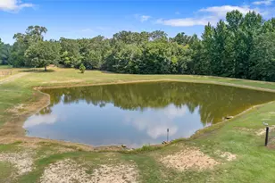 253 Co Rd 2412, Winnsboro, TX 75471 - Photo 36