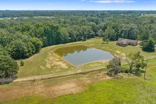 253 Co Rd 2412, Winnsboro, TX 75471 - Photo 28