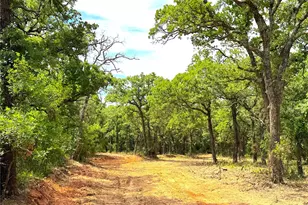 Tbd Turpin Lake Rd, Poolville, TX 76487 - Photo 1