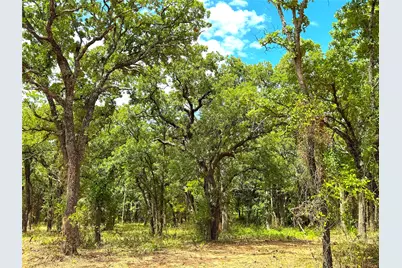 Tbd Turpin Lake Road, Poolville, TX 76487 - Photo 2