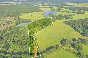 1075 An County Road 323, Palestine, TX 75803 - Photo 36