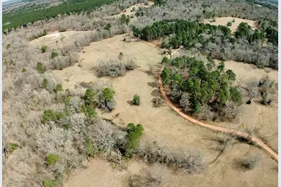 1425 State Highway 300, Gilmer, TX 75645 - Photo 2