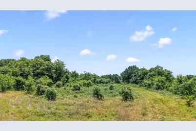 0 County Road 2300, Gun Barrel City, TX 75156 - Photo 6