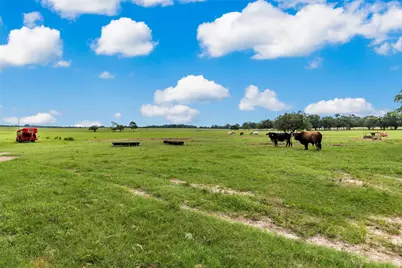 1517 County Road SW 3170, Winnsboro, TX 75494 - Photo 32