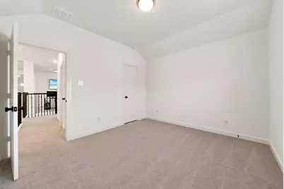 2012 Braided Mane Avenue, Aubrey, TX 76227 - Photo 28