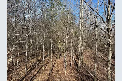 0000 County Road 2324, Como, TX 75431 - Photo 18