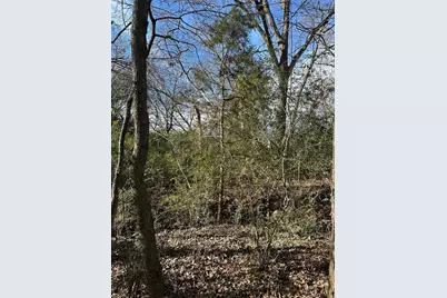 0000 County Road 2324, Como, TX 75431 - Photo 10