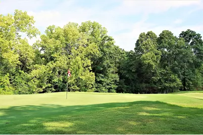 573 Sycamore Hills Loop, Gordonville, TX 76245 - Photo 28
