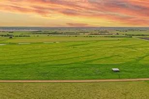 1010 Co Rd 382, Era, TX 76238 - Photo 4