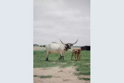0000 Pr 1256, Glen Rose, TX 76043 - Photo 8