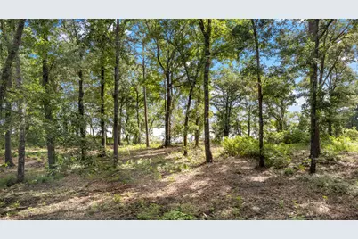 3168 Shadow Pine Drive, LaRue, TX 75770 - Photo 12