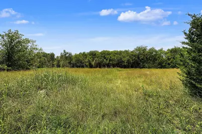 4+ Acres County Road 4435, Trenton, TX 75490 - Photo 4
