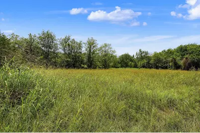 4+ Acres County Road 4435, Trenton, TX 75490 - Photo 10
