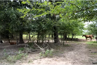 34302 Fm 47, Mabank, TX 75147 - Photo 28