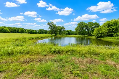 8401 S Fm 148, Scurry, TX 75158 - Photo 4