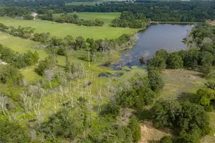 13053 Co Rd 3806, Murchison, TX 75778 - Photo 1