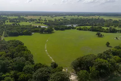 13053 County Road 3806 #3805, Murchison, TX 75778 - Photo 2