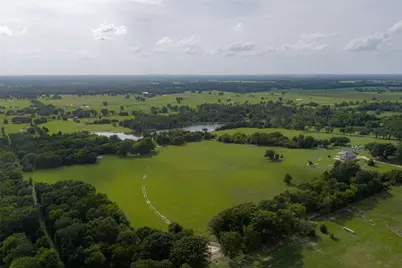 13053 County Road 3806 #3805, Murchison, TX 75778 - Photo 14