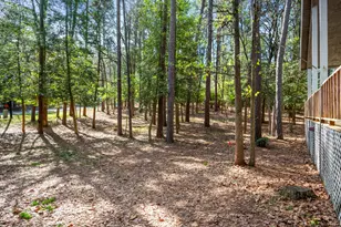 159 Cherrywood Ln, Holly Lake Ranch, TX 75765 - Photo 28