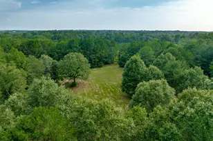 6841 State Hwy 154 E, Gilmer, TX 75645 - Photo 34