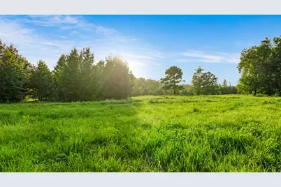 Tract A County Road 43200, Powderly, TX 75473 - Photo 16