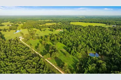 Tract A County Road 43200, Powderly, TX 75473 - Photo 6